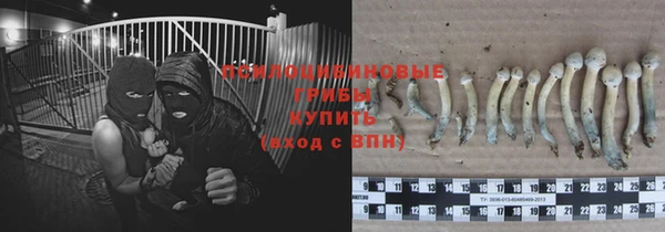 стафф Покачи