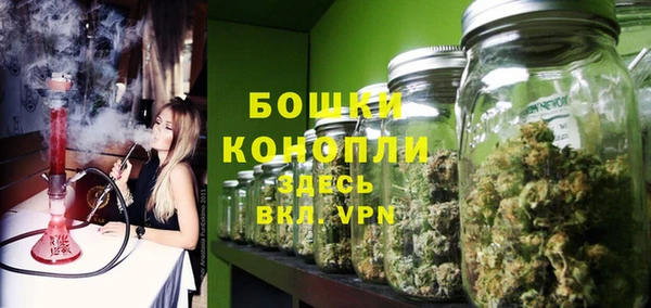 стафф Покачи