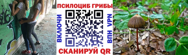Галлюциногенные грибы GOLDEN TEACHER  где продают наркотики  Великий Устюг 
