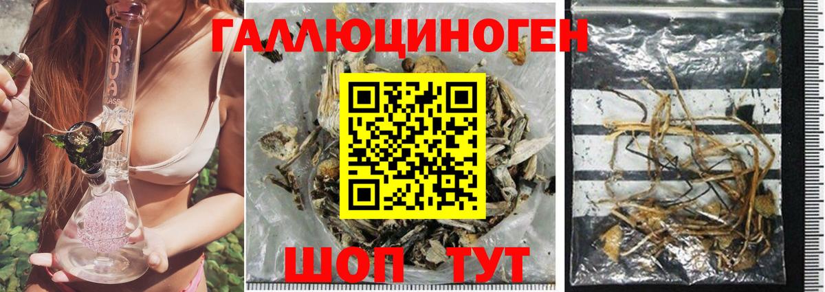 Псилоцибиновые грибы мицелий Великий Устюг