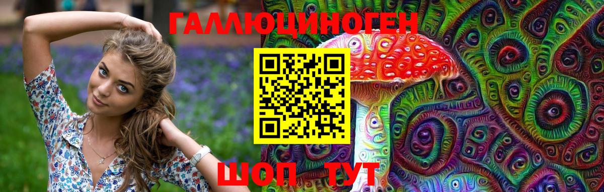 Псилоцибиновые грибы Psilocybine cubensis Великий Устюг