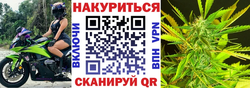 Конопля MAZAR  Великий Устюг 