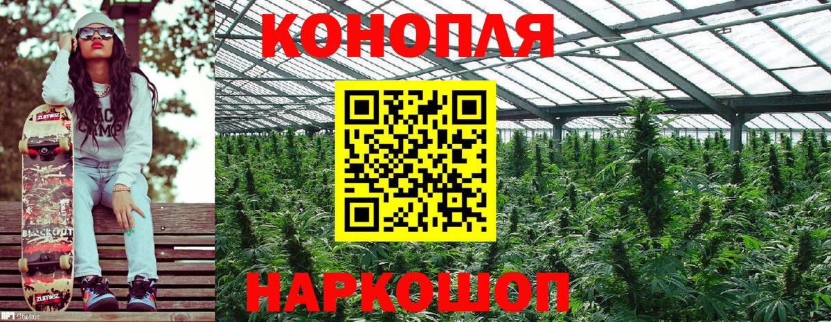 Марихуана индика Великий Устюг